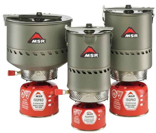 Kuchenka MSR Reactor System