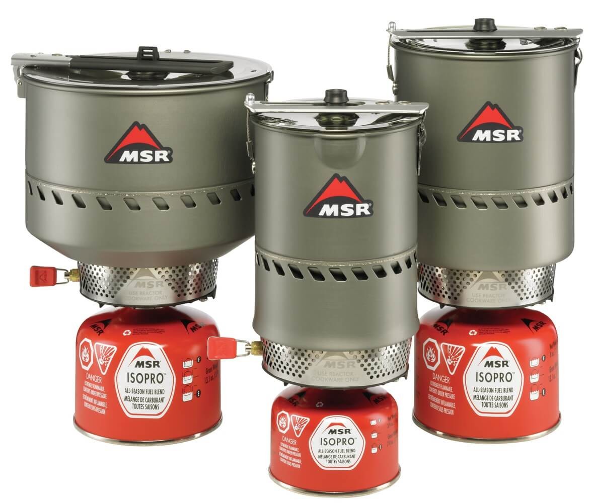 Kuchenka MSR Reactor System