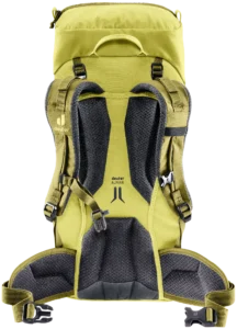 Plecak Deuter Climber 22 sprout-linden